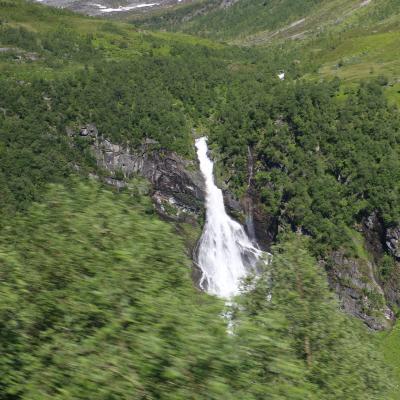 Img 7907
