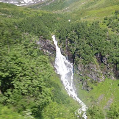 Img 7908
