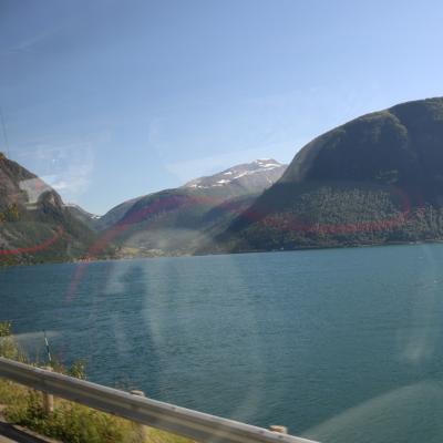 Img 7917