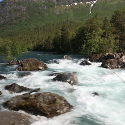 Img 7947