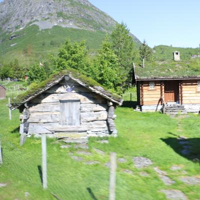 Img 7954