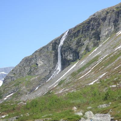 Img 7955