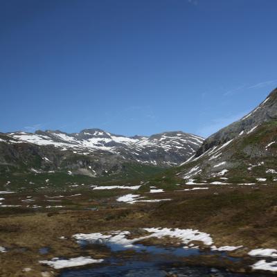 Img 7959