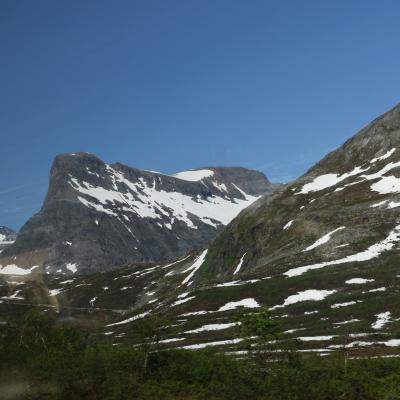 Img 7961