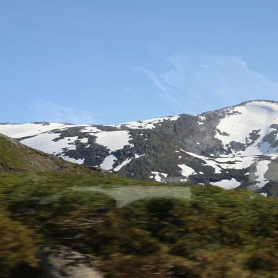 Img 7962
