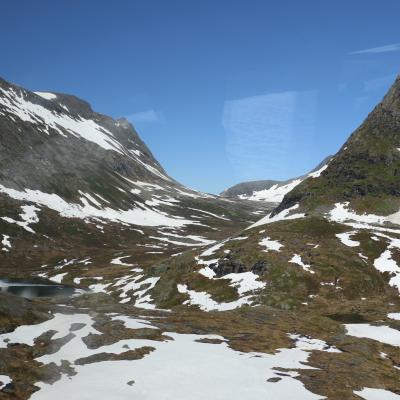 Img 7963