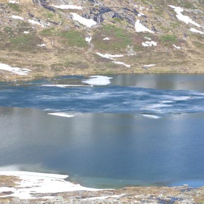 Img 7966