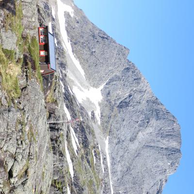 Img 7969