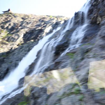 Img 7994